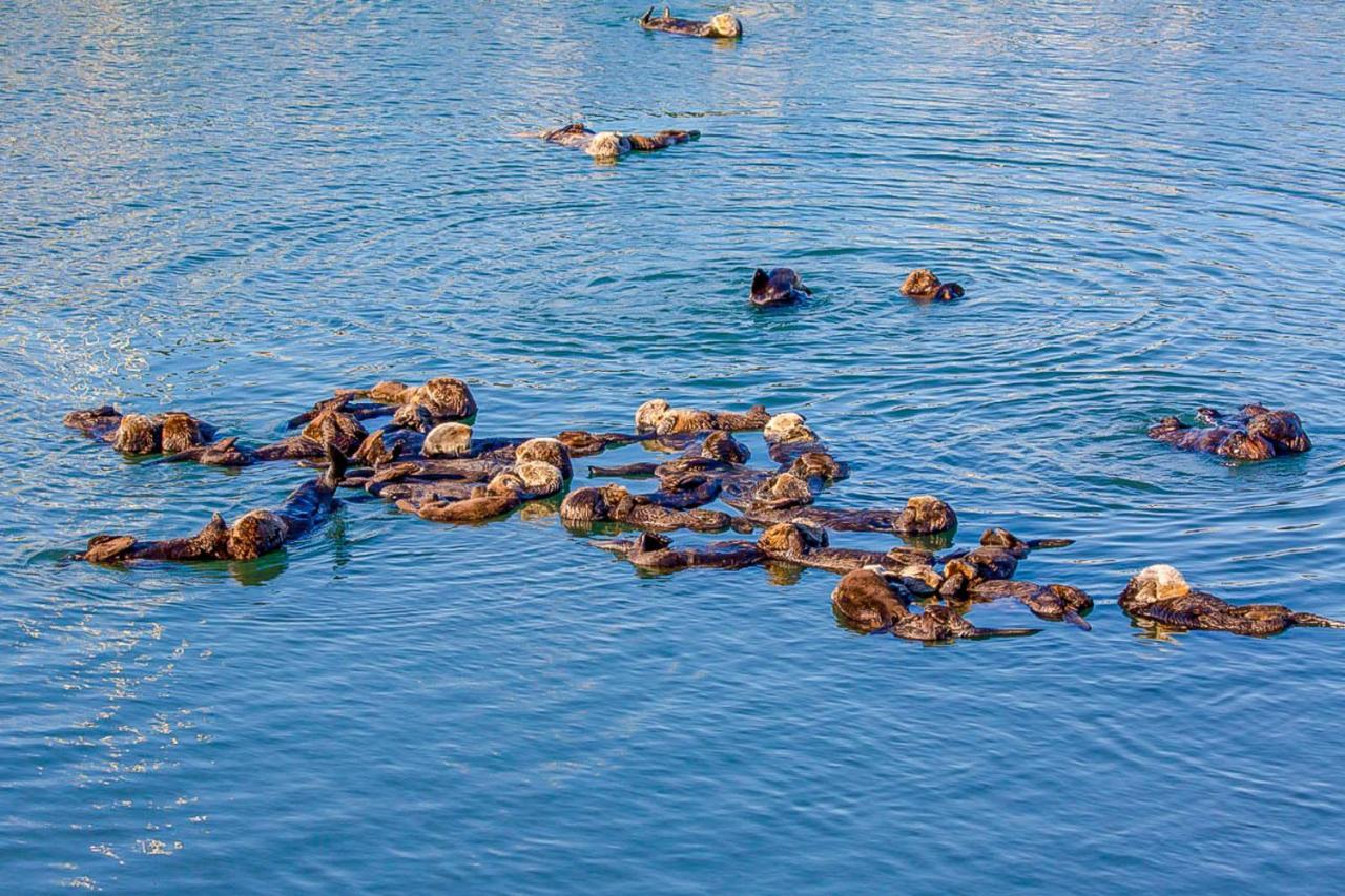 Verdon Oasis Morro Bay Bagian luar foto